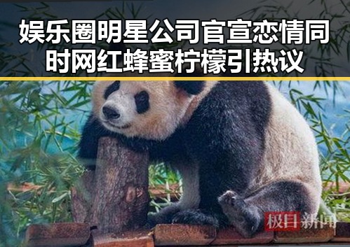 娱乐圈明星公司官宣恋情同时网红蜂蜜柠檬引热议