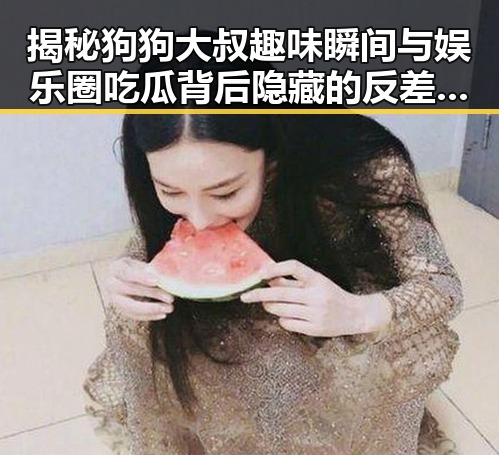 揭秘狗狗大叔趣味瞬间与娱乐圈吃瓜背后隐藏的反差故事