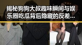 揭秘狗狗大叔趣味瞬间与娱乐圈吃瓜背后隐藏的反差故事
