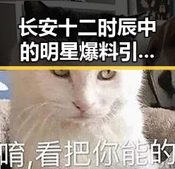 长安十二时辰中的明星爆料引热议 结合汽车大爆料深度解析娱乐圈与汽车文化的交汇