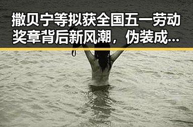 撒贝宁等拟获全国五一劳动奖章背后新风潮，伪装成感冒的致命疾病引发讨论