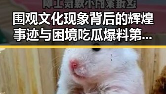 围观文化现象背后的辉煌事迹与困境吃瓜爆料第一站的真实面貌