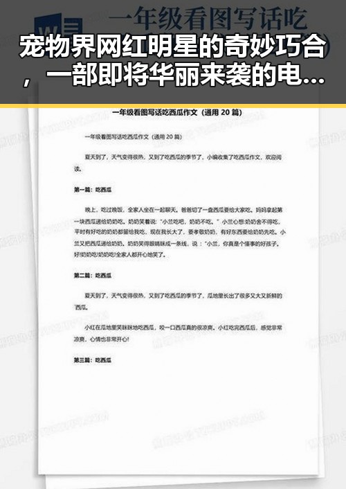 宠物界网红明星的奇妙巧合，一部即将华丽来袭的电影引发的趣味吃瓜