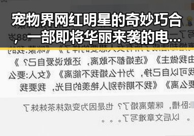 宠物界网红明星的奇妙巧合，一部即将华丽来袭的电影引发的趣味吃瓜