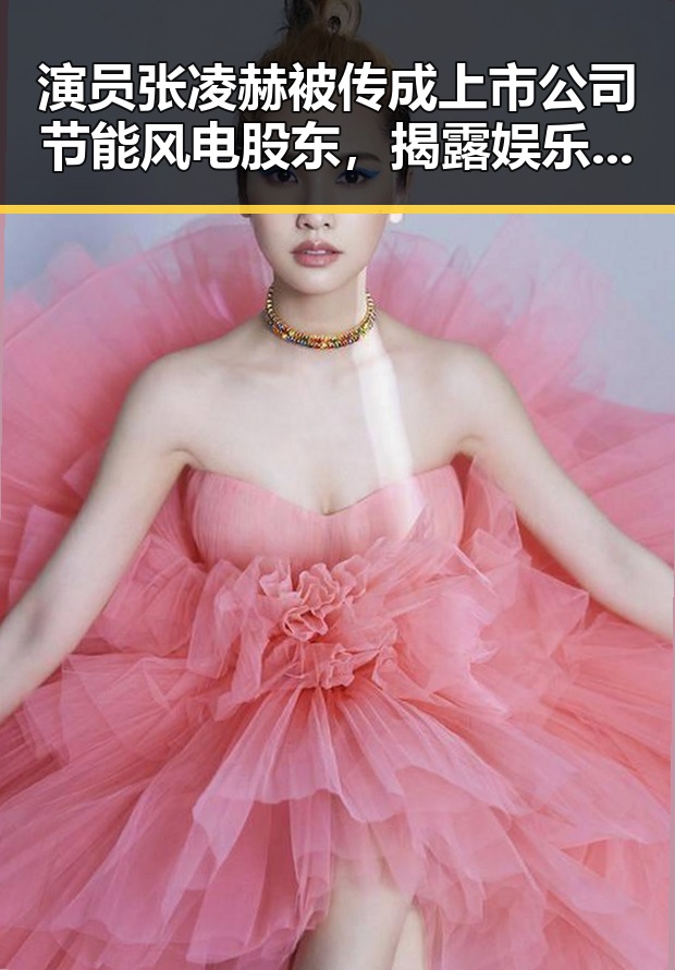 演员张凌赫被传成上市公司节能风电股东，揭露娱乐圈的敬业精神与公司回应的反差