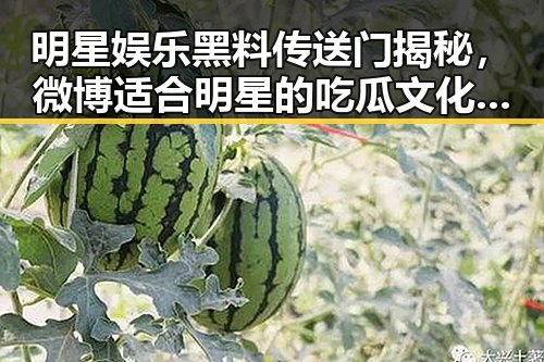 明星娱乐黑料传送门揭秘，微博适合明星的吃瓜文化与网红自制视频的背后故事