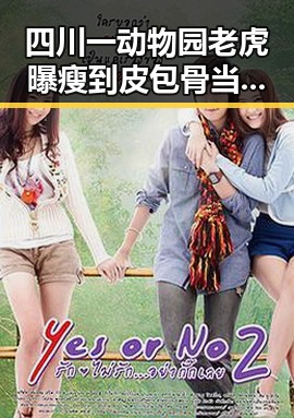 四川一动物园老虎曝瘦到皮包骨当地回应，只高龄东北虎引发关注