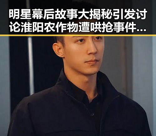 明星幕后故事大揭秘引发讨论淮阳农作物遭哄抢事件关注